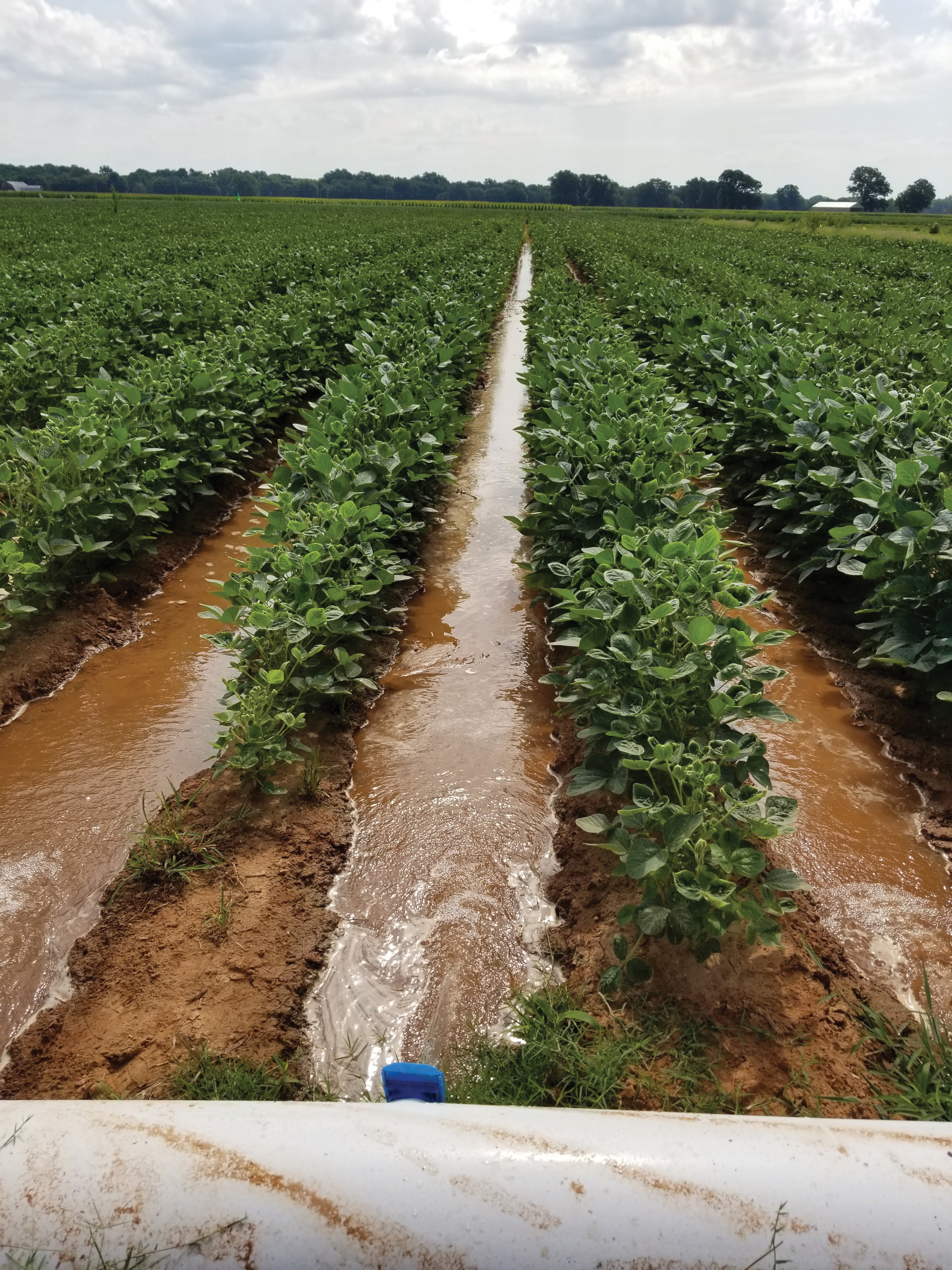 A Community-Engagement Approach to Managing Drought: The Drought Irrigation Response Tool (DIRT)